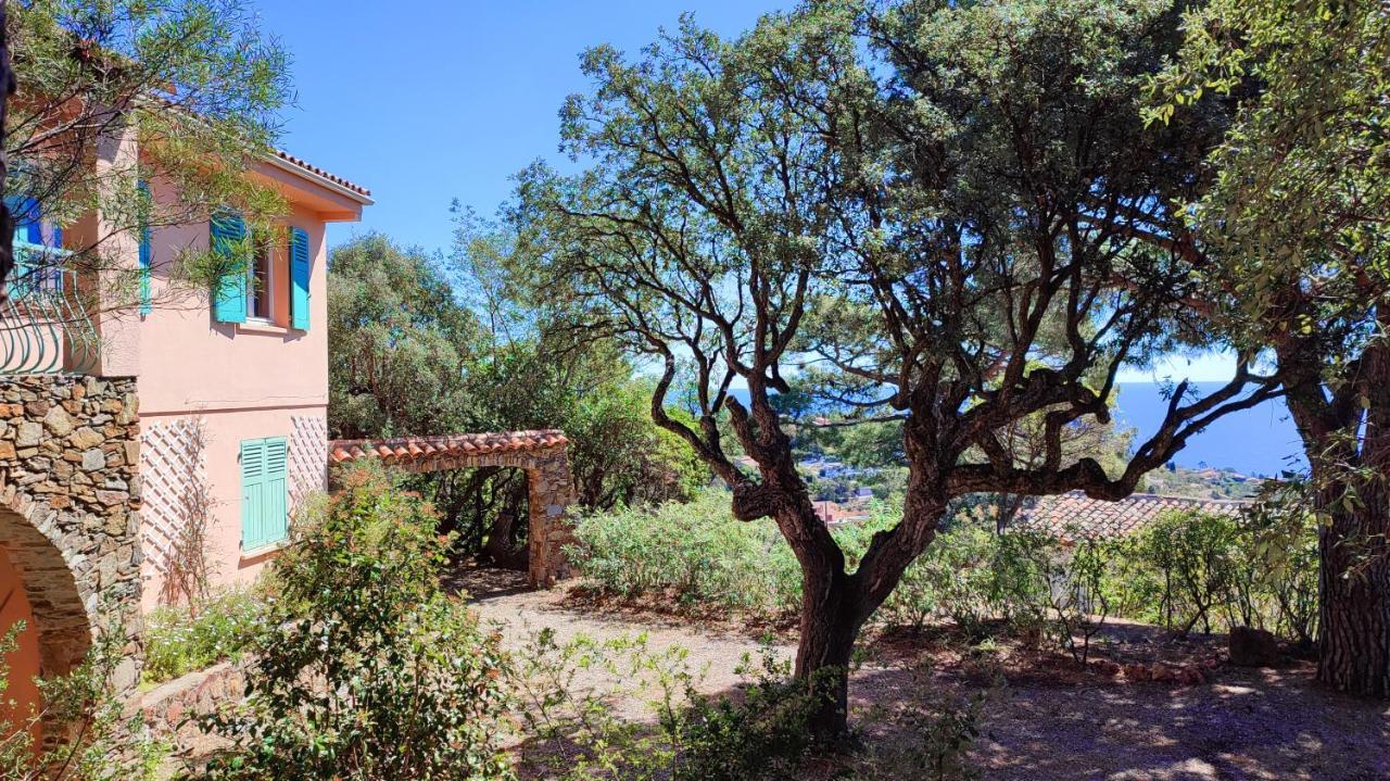 Villa Les Trois Chenes, Piscine Privee & Vue Mer Sur Golfe De Saint Tropez Лес-Иссамбр Экстерьер фото